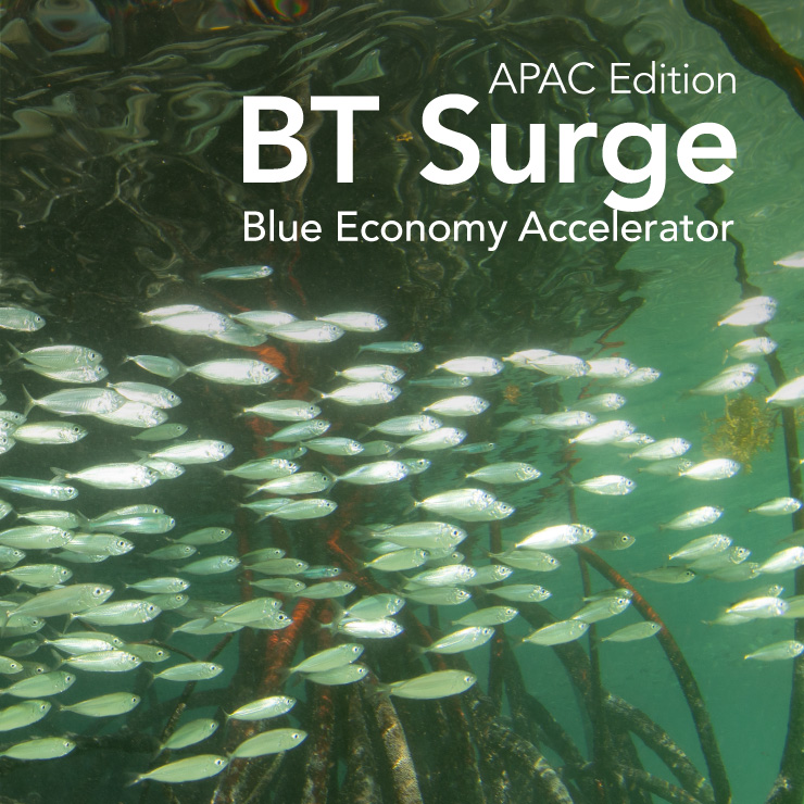 BT Surge | APAC Edition