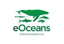 eOcean logo