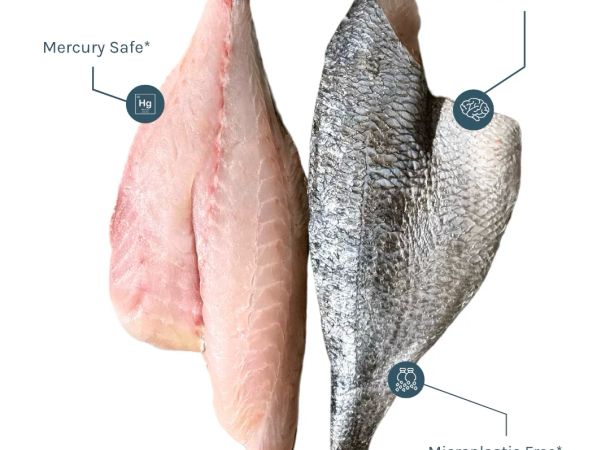 images/Success Stories/seatopia/seatopia-news02.jpg