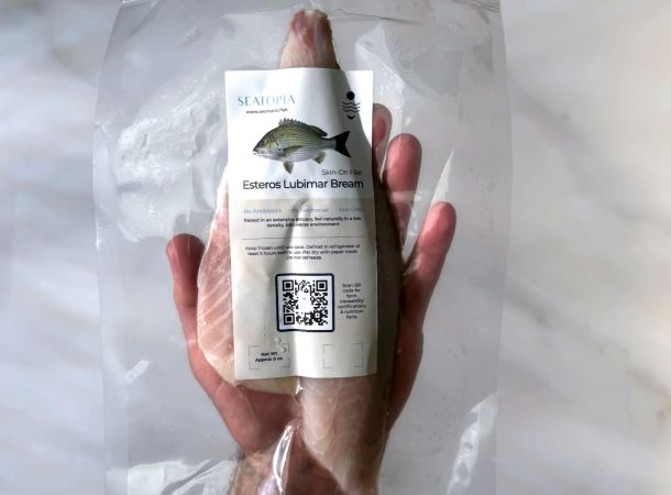 images/Success Stories/seatopia/seatopia-news03.jpg