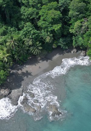 Aerial view of a dense tropical rainforest meeting a dark sand beach, with palm trees casting long shadows and white surf breaking over rocks into turquoise water.